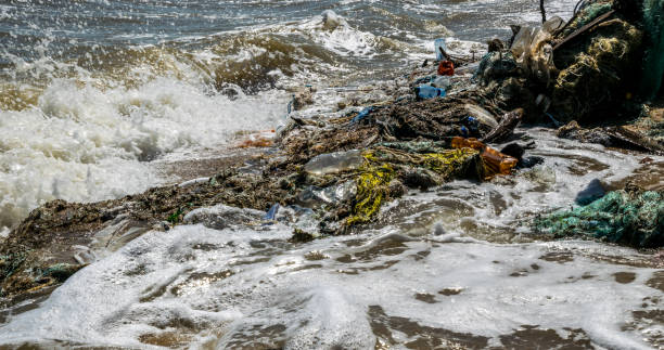 istock Pollution of the world's oceans with plastic 1028147652