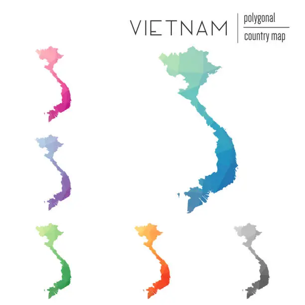 Vector illustration of Set of vector polygonal Vietnam maps.