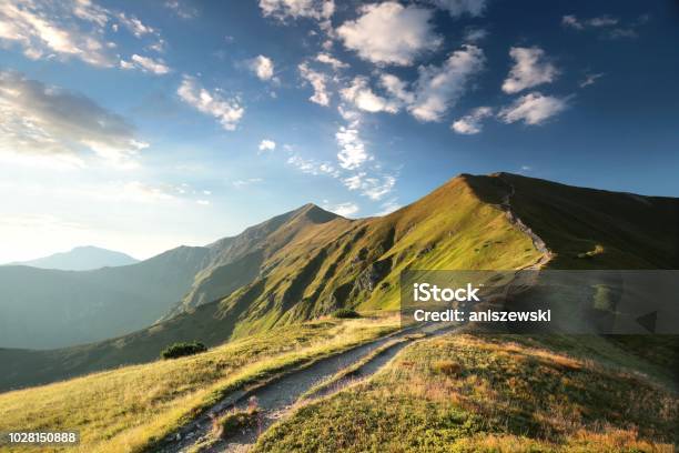 Test Zum Gipfel Im Tatragebirge Stockfoto und mehr Bilder von Berg - Berg, Weg, Schotterstrecke