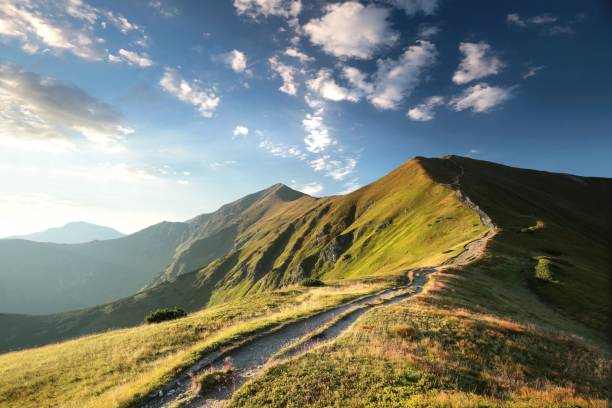 испытание на вершину в горах татра - tatry стоковые фото и изображения