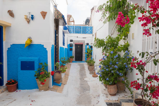 smala blå och vita gatorna i kasbah des oudaia i rabat, marocko huvudstad staden - rabat marocko bildbanksfoton och bilder
