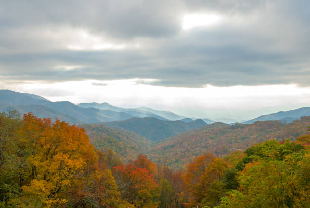 istock Smoky Mountain Panorama in Fall 1028156386