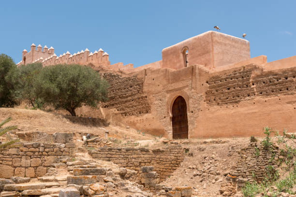 istock Chellah walls, Rabat, Morocco 1028157118