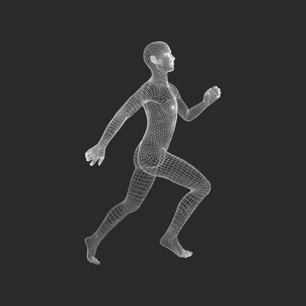 istock 3d Running Man. Human Body Wire Model. Sport Symbol. Low-poly Man in Motion. Vector Geometric Illustration. 1028160750