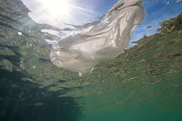 istock Plastic Bag floating in the sea 1028160952