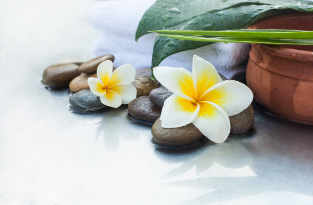 istock Spa flowers and stones for massage treatment on white background. 1028163348