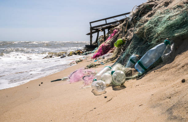 Plastic waste on a sandy beach. Pollution of the waters of the world ocean by plastic. Polluted beach in Los Angeles, USA