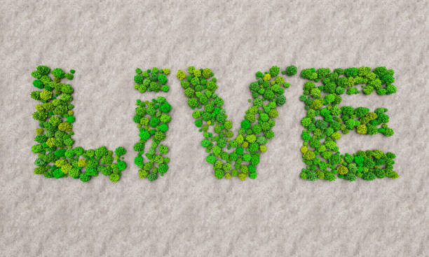 istock text live from the trees in the desert 1028181108