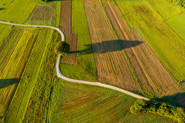istock Aerial view of fields, road and trees 1028183458