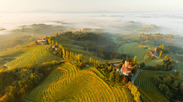 weinberge und häuser auf hügeln, jeruzalem, slovenske gorice, prlekija, steiermark, slowenien - slowenien stock-fotos und bilder