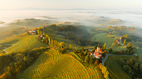 Aerial view of scenery with vineyards, trees and houses on hills at sunrise with fog, Jeruzalem, Slovenske Gorice, Prlekija, Styria, Slovenia