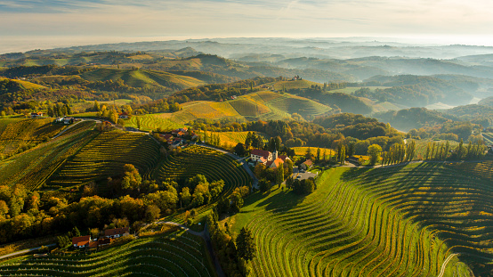 Beautiful aerial view of rural scenery with houses, road and vineyard on hills, Jeruzalem, Slovenske Gorice, Prlekija, Styria, Slovenia