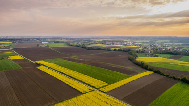 istock Aerial view of fields, Prekmurje, Slovenia 1028184168