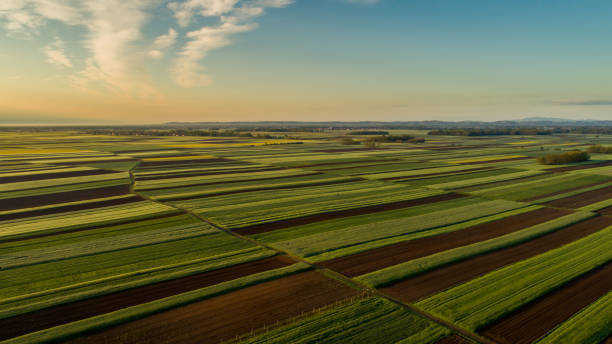 istock Landscape of fields at sunset, Aerial view 1028184494