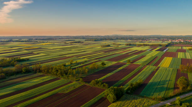 istock Landscape of fields at sunset 1028184528