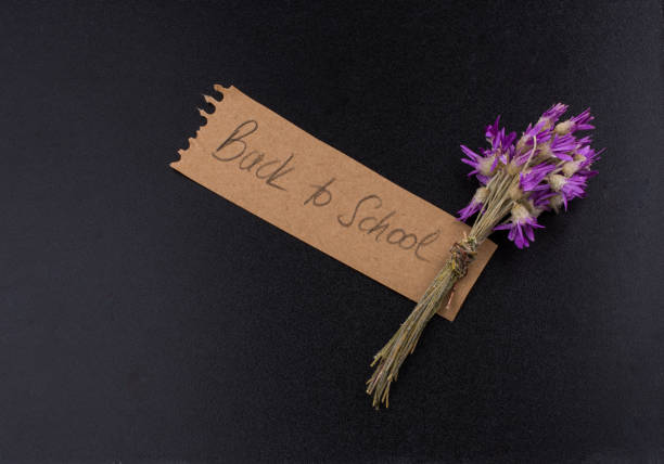 istock Back to school lettering with flower bouquet 1028184694