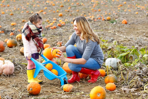 kleines kind mädchen und mutter spaß auf pumkin field - pumpkin child little girls pumpkin patch stock-fotos und bilder