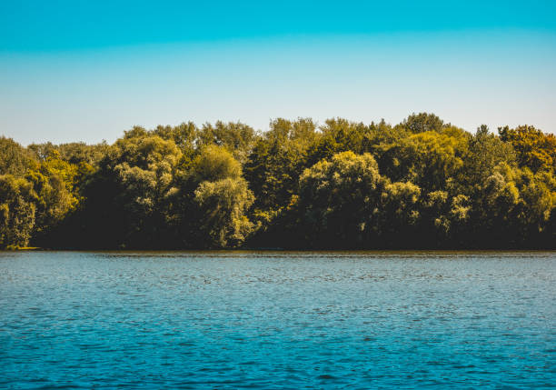 istock nature scene of forest at blue river 1028188318