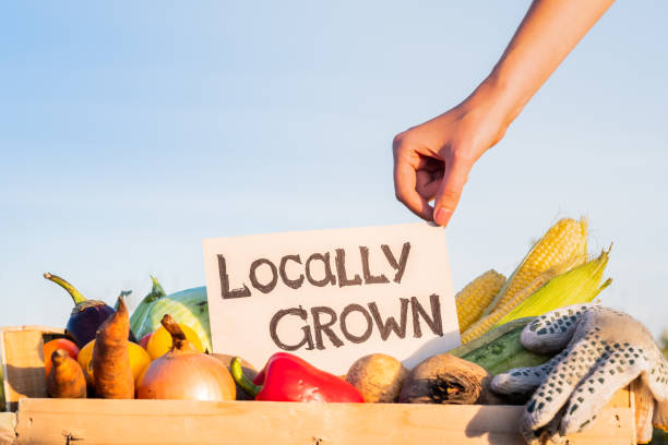 istock Packaging box full of natural organic vegetables. 1028188568