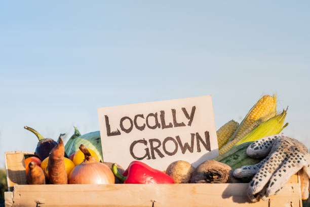 istock Packaging box full of natural organic vegetables. 1028188832