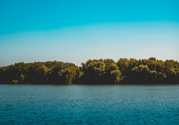 istock blue river and green forest - for nature themes 1028195152