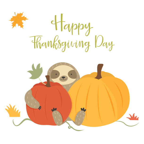 Happy Thanksgiving Day card with cute sloth, pumpkins. Cute sitting sloth with pumpkin. Thanksgiving Day design thanksgiving live wallpaper stock illustrations