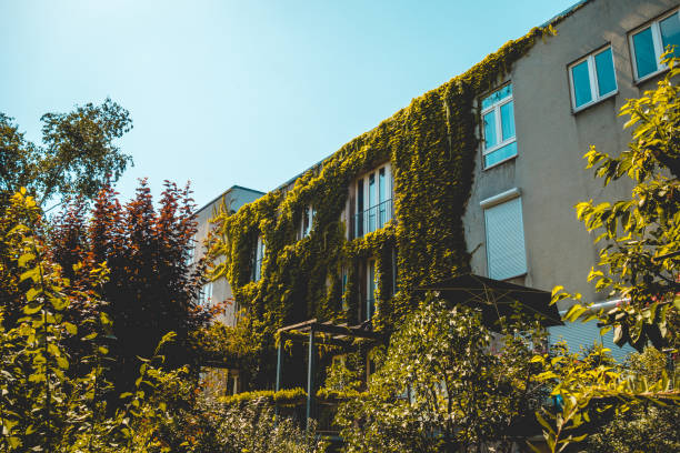 istock grey colored and modern facaded building with beautiful ivy 1028203576