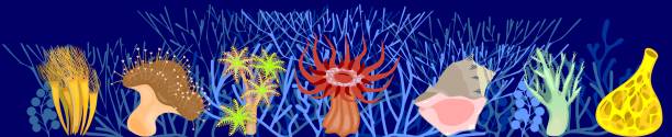 양식된 분기 산호와 해양 파란색 배경에 다른 산호 - anthozoans stock illustrations