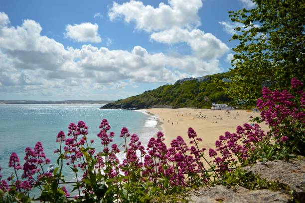 istock Porthminster Beach Flowers 1028207496