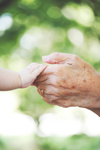 Baby hand and grandmother hand.