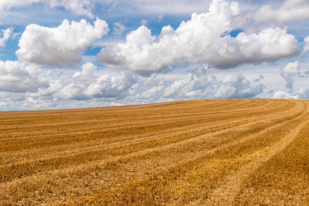 istock Mown Grain Field and Clouds Auxerre 1028215072