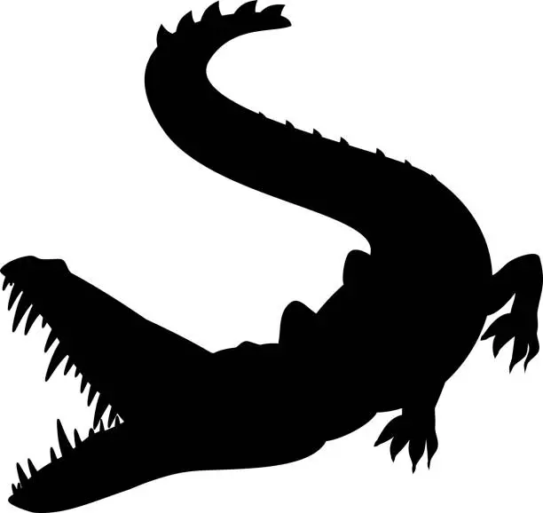 Vector illustration of Silhouette of crocodile with open mouth