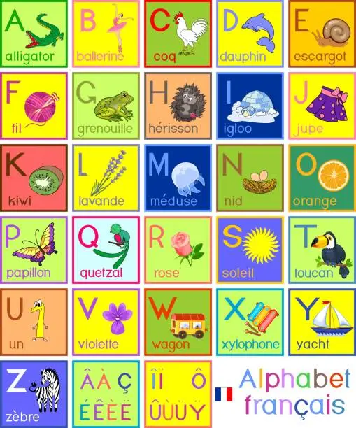 Vector illustration of Colorful French alphabet with cartoon pictures and titles for children education