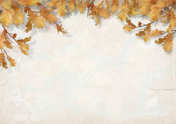 ilustraciones, imágenes clip art, dibujos animados e iconos de stock de fondo del otoño con las hojas del roble - plaster backgrounds wall cracked