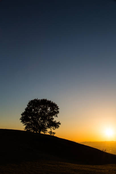 istock Evening scenery of Nara, Japan 1028220716
