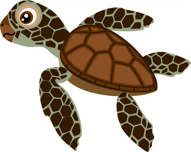 Vector illustration of Cute cartoon hatchling of sea turtle on white background