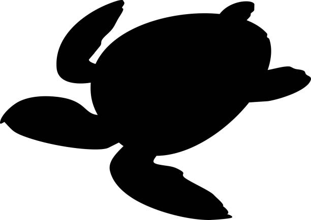 スイミング ウミガメの黒いシルエット - turtle green sea turtle silhouette sea点のイラスト素材／クリップアート素材／マンガ素材／アイコン素材