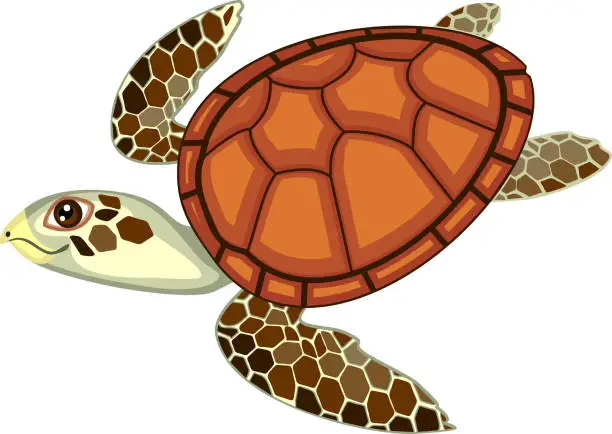 Vector illustration of Adult cute cartoon swimming sea turtle on white background