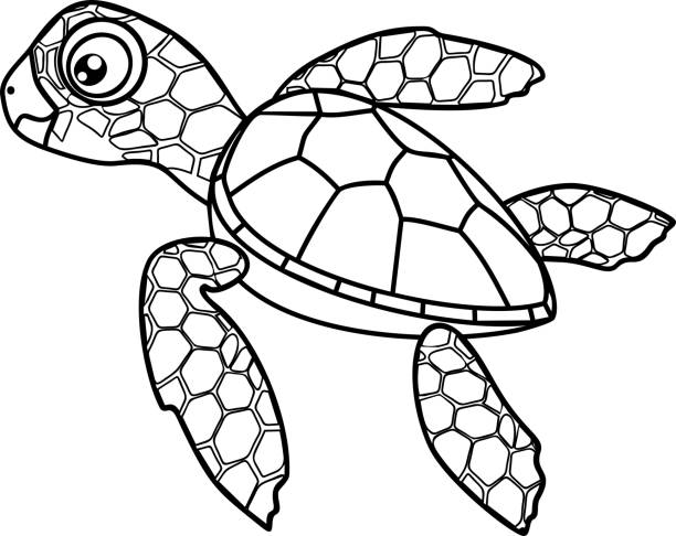 Ilustración de Página Para Colorear Tortuguita De Cute Dibujos Animados De  Tortugas Marinas y más Vectores Libres de Derechos de Dermoquélidos - iStock