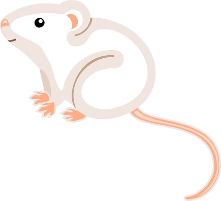 Ilustración de Ratón De La Casa De Dibujos Animados Lindo Blanco Sobre  Fondo Blanco y más Vectores Libres de Derechos de Ratón - Animal - iStock