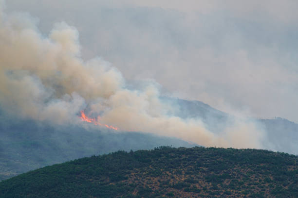 istock Wildfire Burning with Smoke Basalt Colorado Lake Christine Fire 1028232952