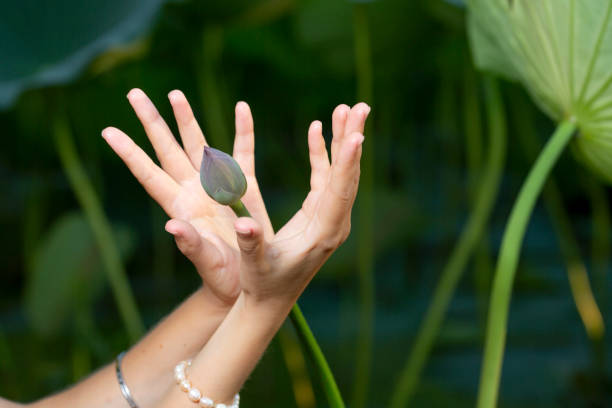 mudra of hand  young woman are folded in a special way into a yoga. Behind a strongly blurred background stock photo