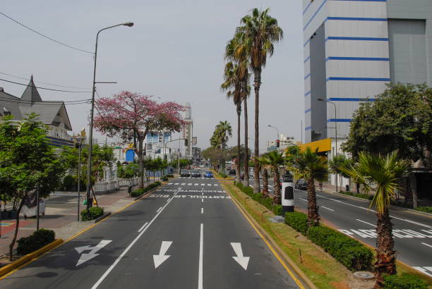 istock Street in Miraflores district, Lima, Peru. 1028234474