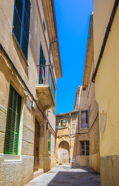 istock Small farm in Soller in Mallorca 1028237916