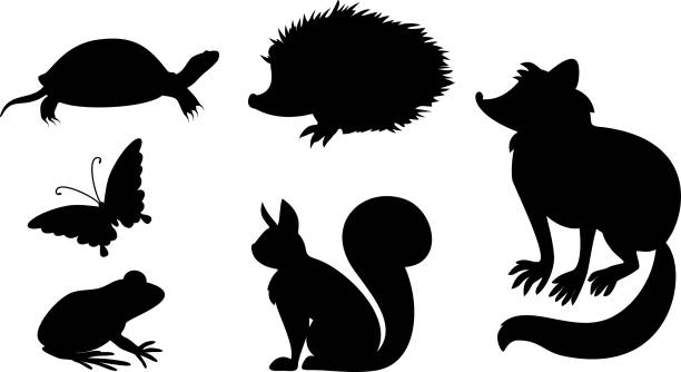 zestaw sylwetek różnych zwierząt kreskówek, mieszkańców parku miejskiego - cute animal reptile amphibian stock illustrations