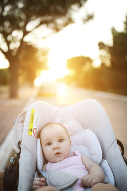 istock Child is lie in a carriage 1028243328