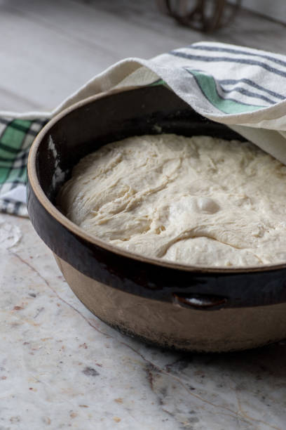 istock dough rising in large brown bowl 1028246256