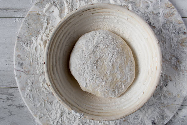 istock dough ball in proofing basket 1028248782