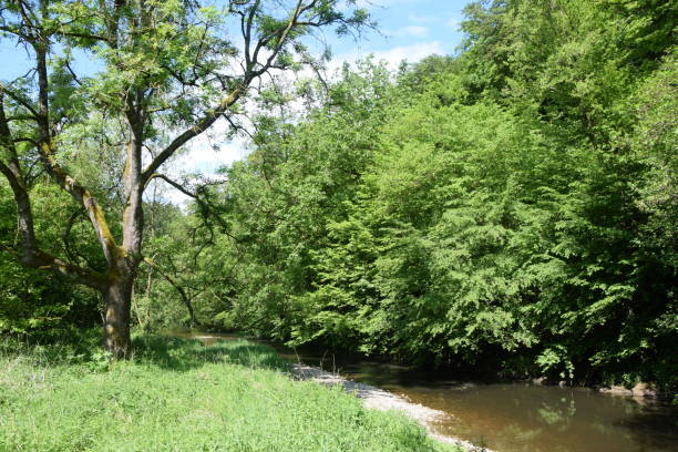 istock Nister, a river at Westerwald, Germany 1028249216