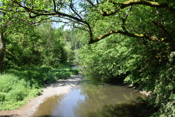 istock Nister, a river at Westerwald, Germany 1028249518
